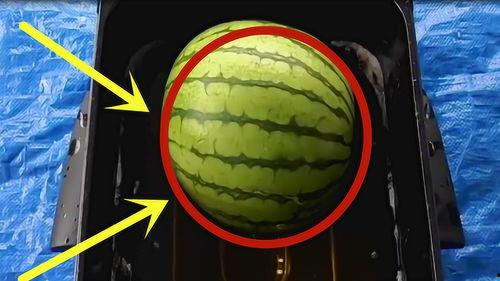 暗黑吃瓜官网入口免费观看,揭秘暗黑世界，畅享独家视听盛宴