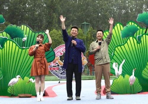 娱乐吃瓜猫咪视频大全最新