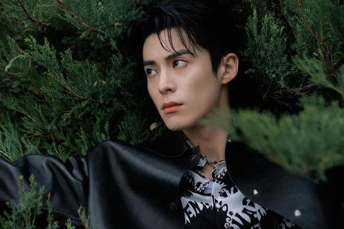 娱乐吃瓜爆料王鹤棣,娱乐圈新晋“吃瓜王”的崛起之路