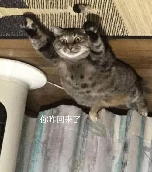 娱乐吃瓜酱出门忘关空调