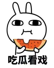 吃瓜娱乐间准吗,揭秘娱乐圈幕后真相，准度惊人！