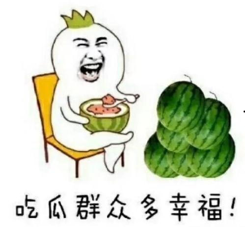 娱乐圈的瓜哪里吃